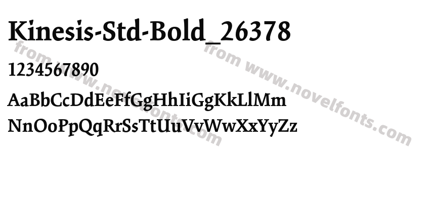 Kinesis-Std-Bold_26378Preview