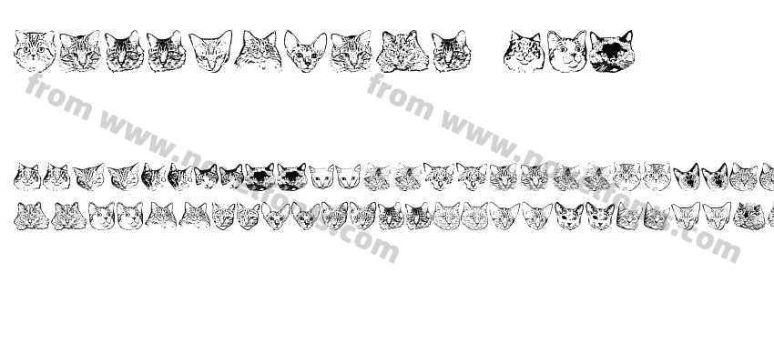 KittyPrint AOEPreview