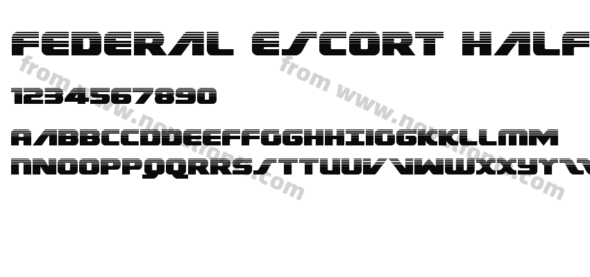 Federal Escort HalftonePreview