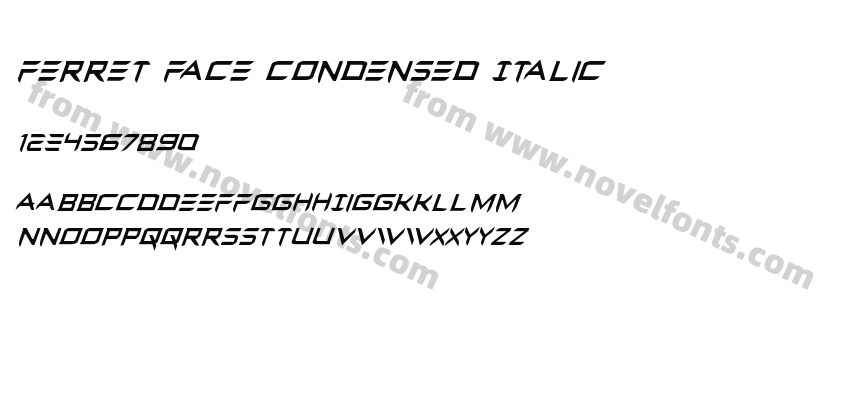 Ferret Face Condensed ItalicPreview