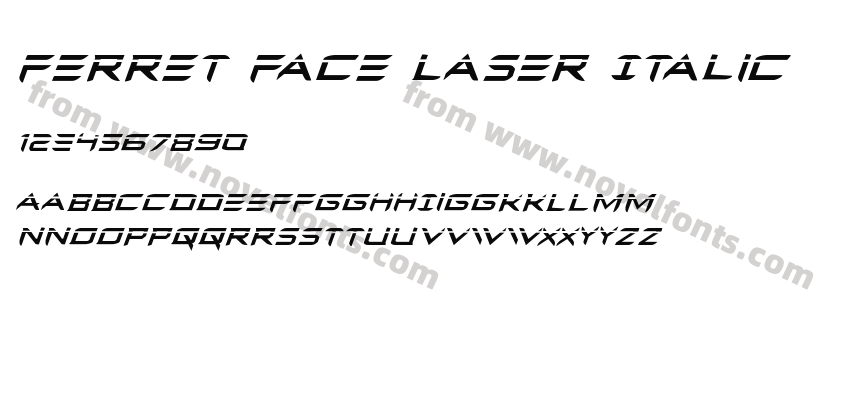 Ferret Face Laser ItalicPreview