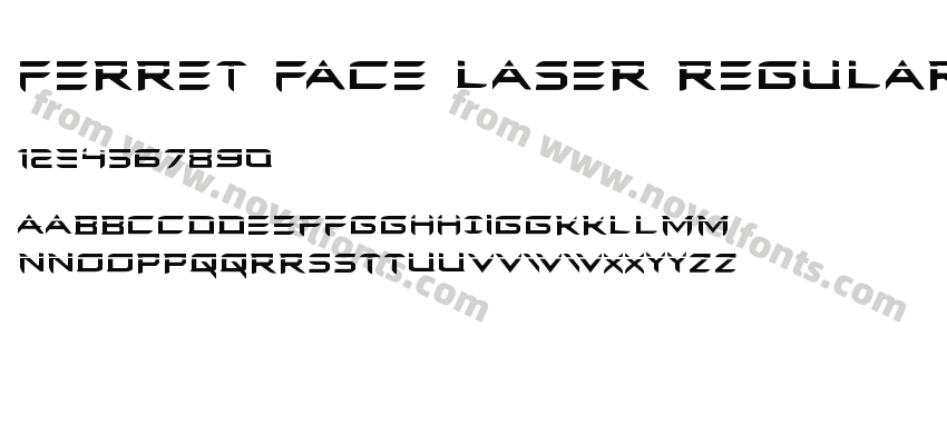 Ferret Face Laser RegularPreview