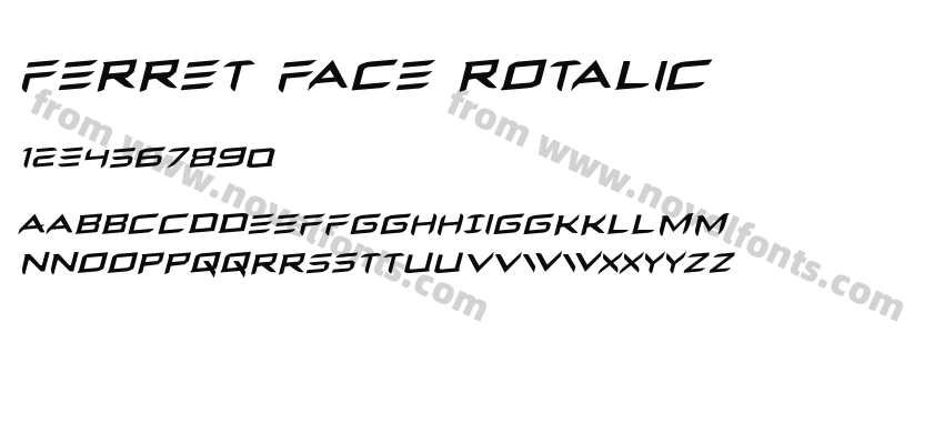 Ferret Face RotalicPreview