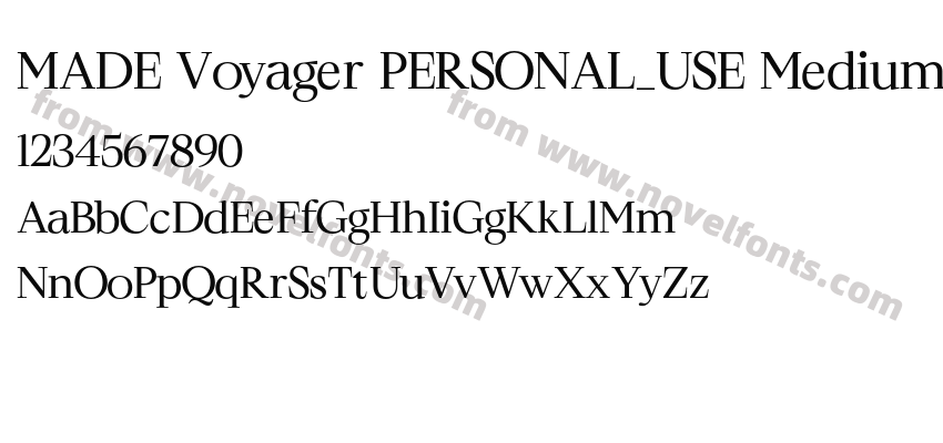 MADE Voyager PERSONAL_USE MediumPreview