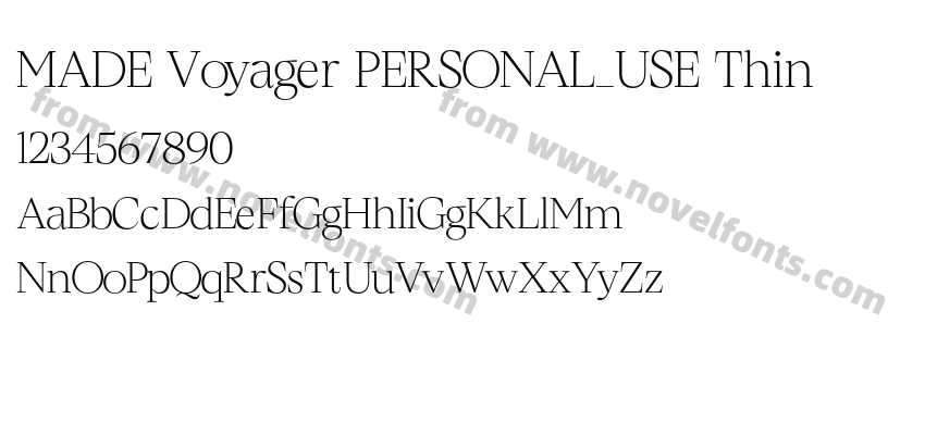 MADE Voyager PERSONAL_USE ThinPreview