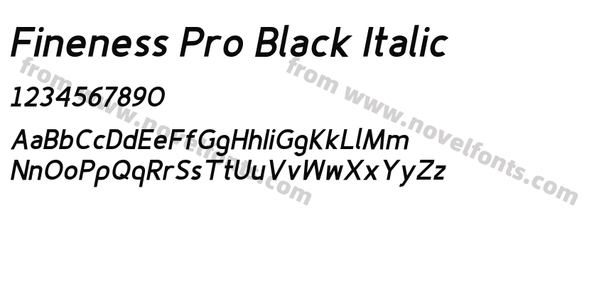 Fineness Pro Black ItalicPreview