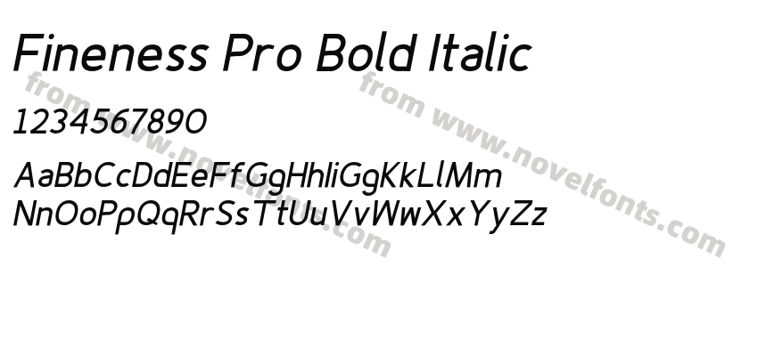 Fineness Pro Bold ItalicPreview