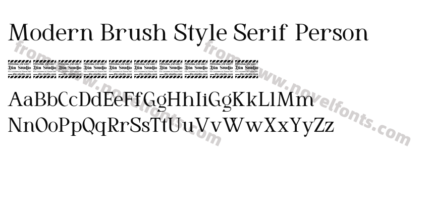 Modern Brush Style Serif PersonPreview