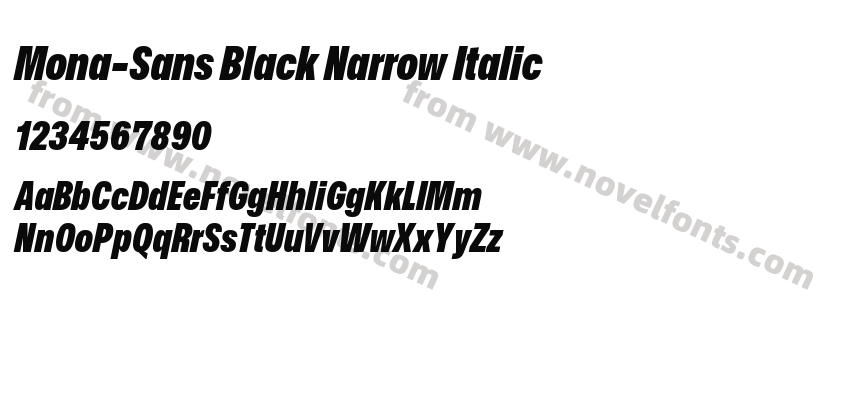 Mona-Sans Black Narrow ItalicPreview