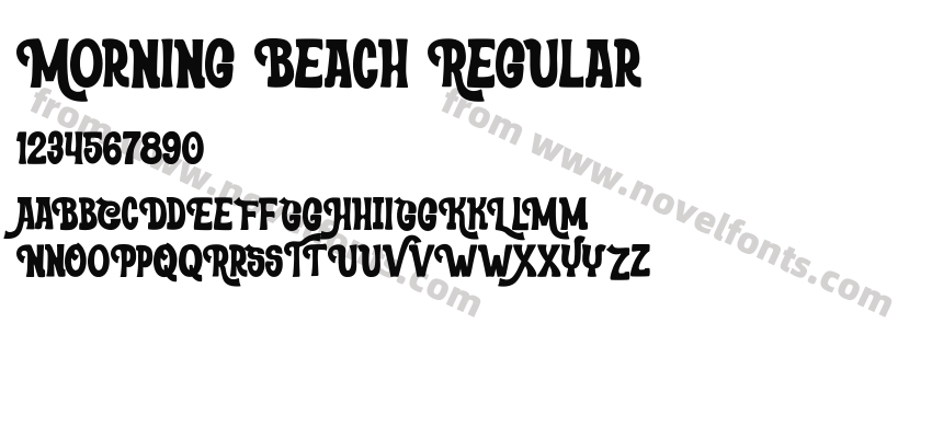 Morning Beach RegularPreview