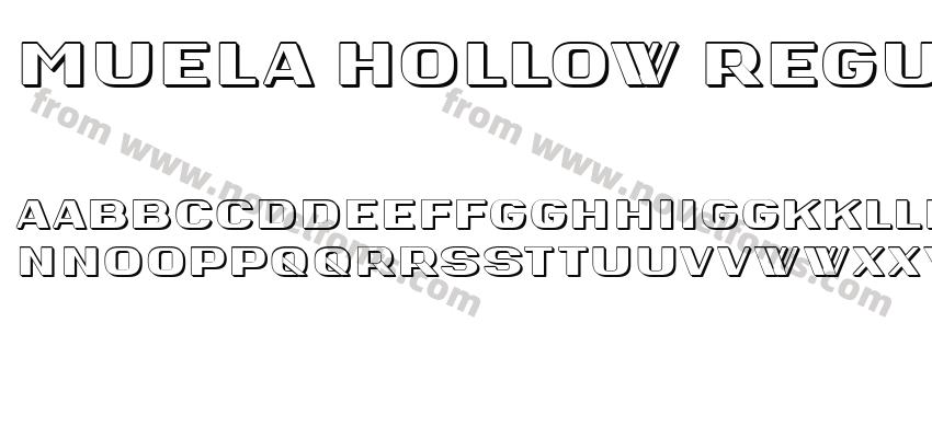 Muela Hollow RegularPreview