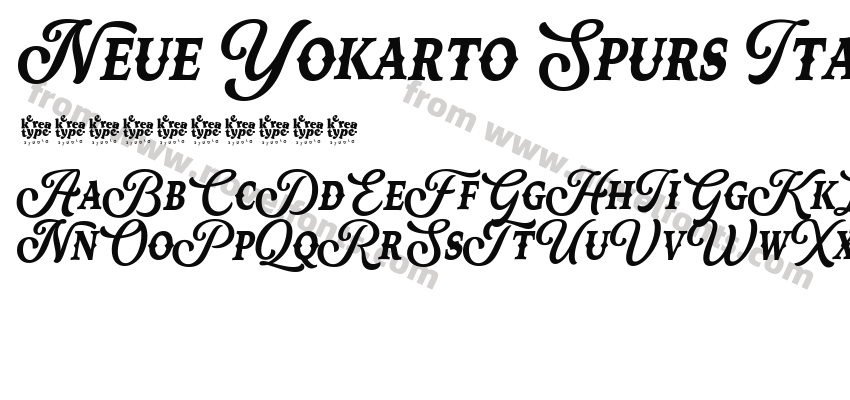 Neue Yokarto Spurs ItalicPreview