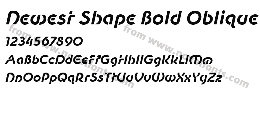 Newest Shape Bold ObliquePreview