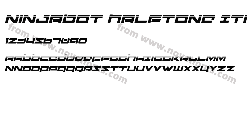 Ninjabot Halftone ItalicPreview