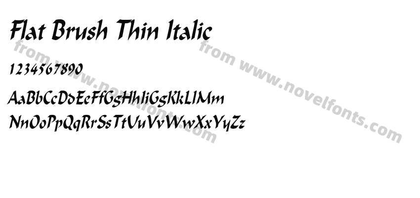 Flat Brush Thin ItalicPreview