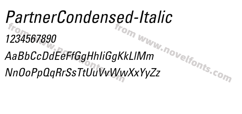 PartnerCondensed-ItalicPreview