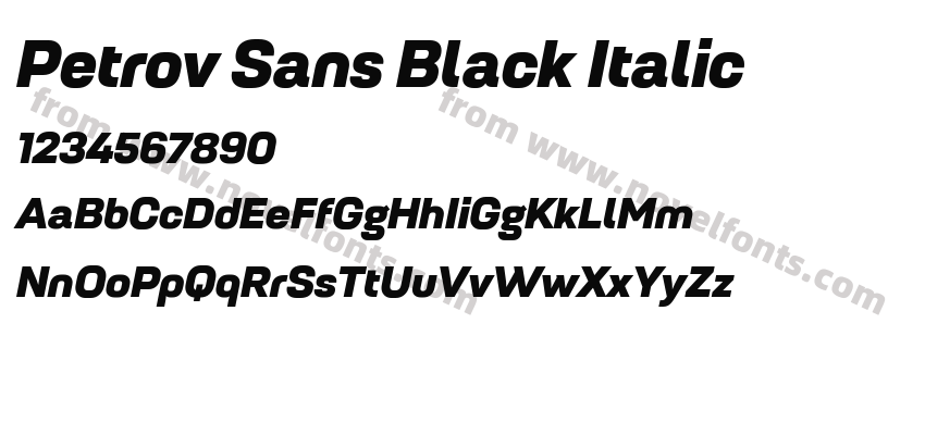 Petrov Sans Black ItalicPreview