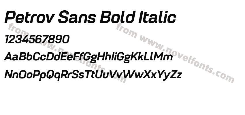 Petrov Sans Bold ItalicPreview