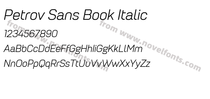 Petrov Sans Book ItalicPreview