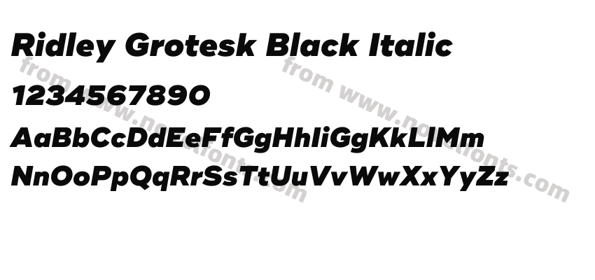 Ridley Grotesk Black ItalicPreview