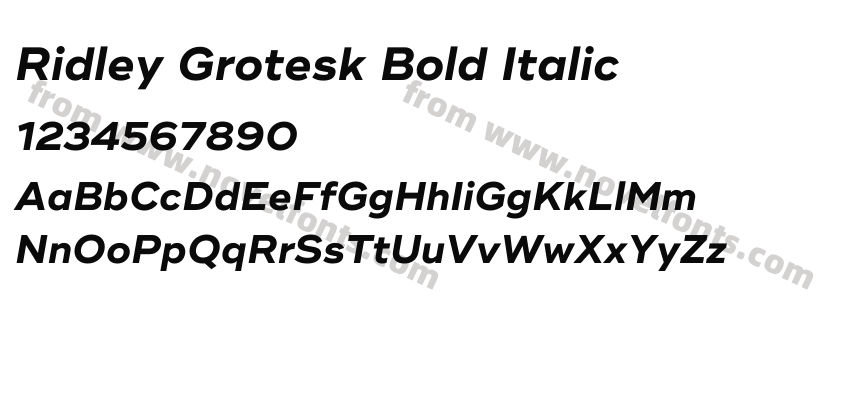 Ridley Grotesk Bold ItalicPreview