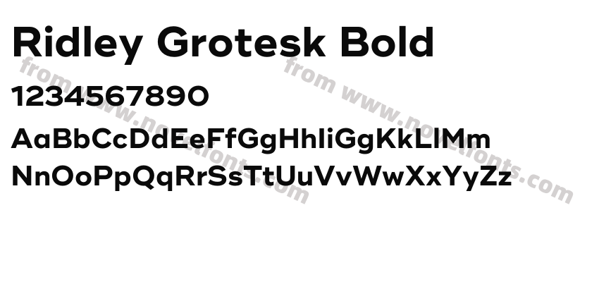 Ridley Grotesk BoldPreview