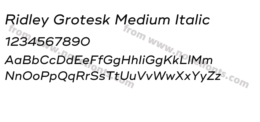 Ridley Grotesk Medium ItalicPreview