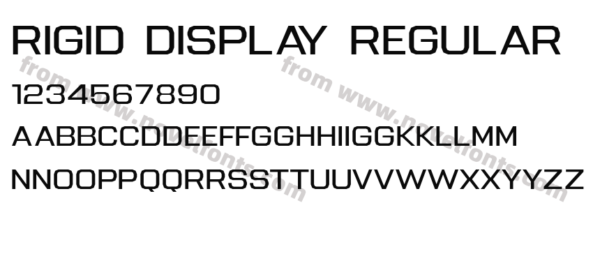 Rigid Display RegularPreview