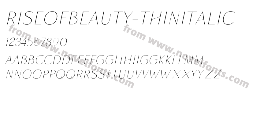 RiseofBeauty-ThinItalicPreview