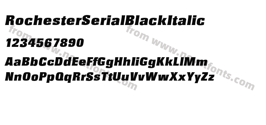 RochesterSerialBlackItalicPreview