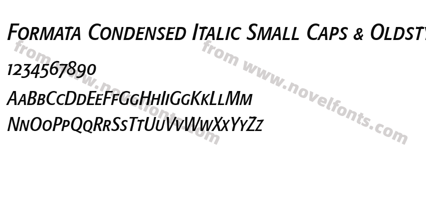 Formata Condensed Italic Small Caps & Oldstyle FiguresPreview