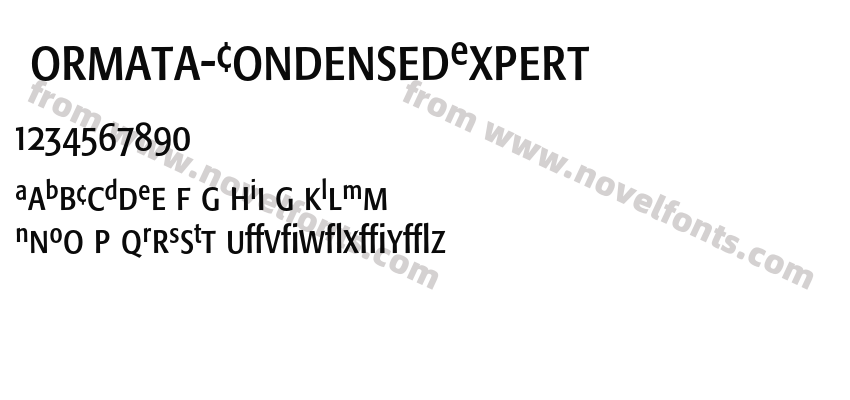 Formata-CondensedExpertPreview
