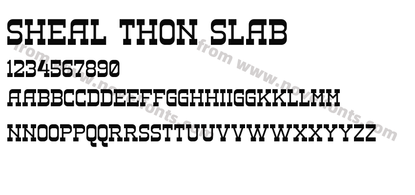 SHEAL THON SLABPreview