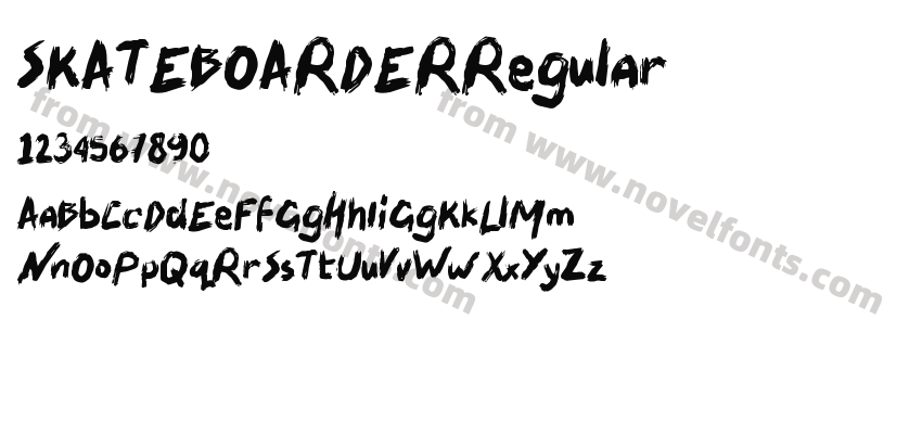 SKATEBOARDERRegularPreview