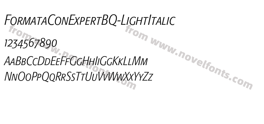 FormataConExpertBQ-LightItalicPreview
