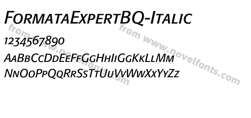 FormataExpertBQ-ItalicPreview