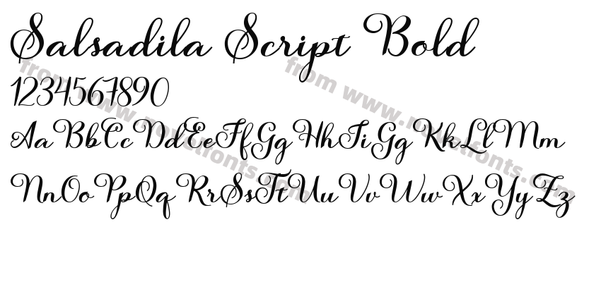 Salsadila Script BoldPreview