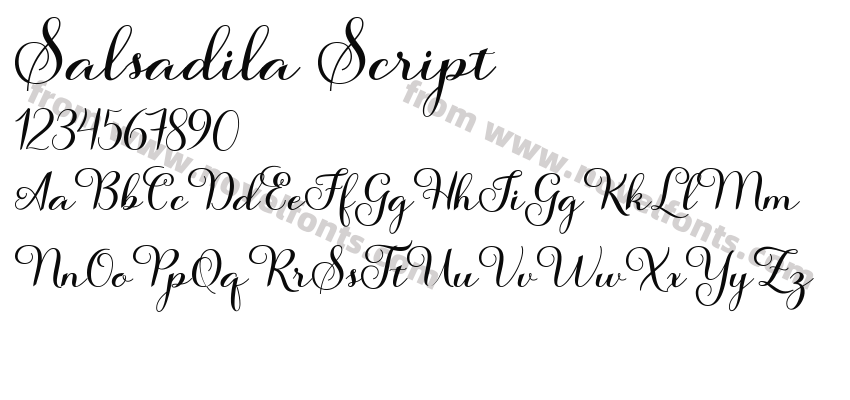 Salsadila ScriptPreview