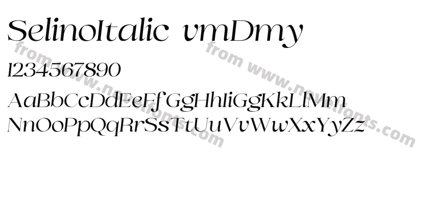 SelinoItalic-vmDmyPreview