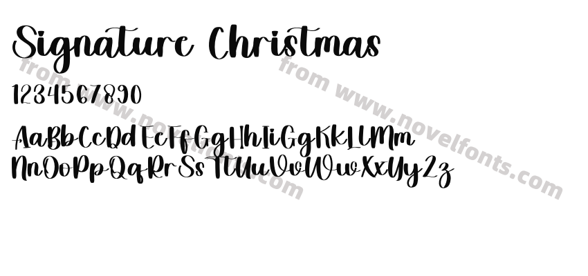 SignatureChristmasRegularPreview