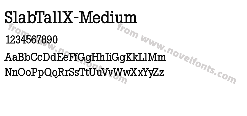 SlabTallX-MediumPreview