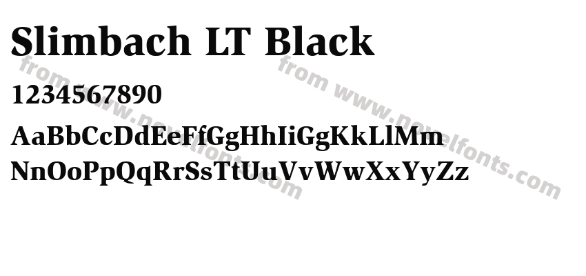 Slimbach LT BlackPreview