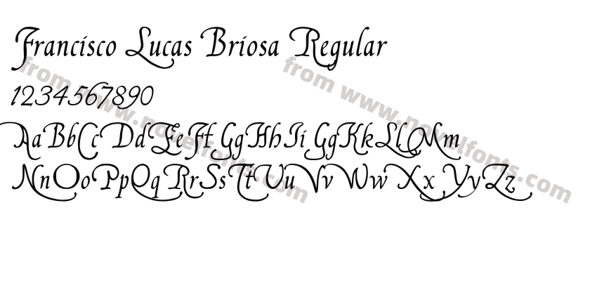 Francisco Lucas Briosa RegularPreview