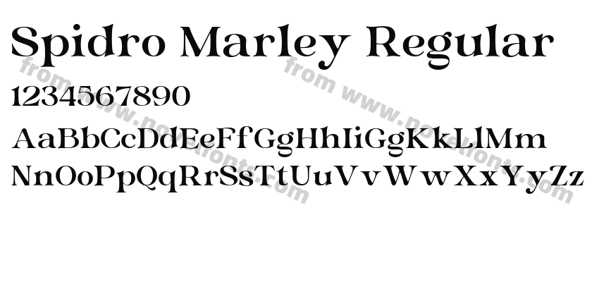 Spidro Marley RegularPreview