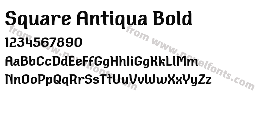 Square Antiqua BoldPreview