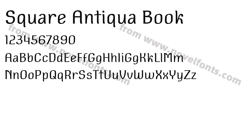 Square Antiqua BookPreview