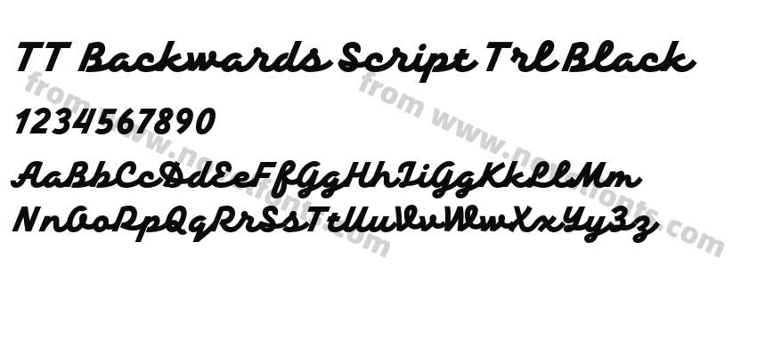 TT Backwards Script Trl BlackPreview