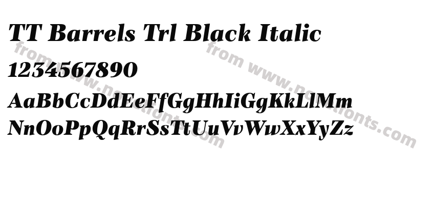 TT Barrels Trl Black ItalicPreview