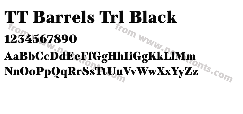 TT Barrels Trl BlackPreview