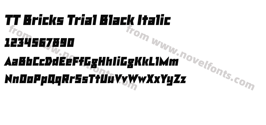 TT Bricks Trial Black ItalicPreview